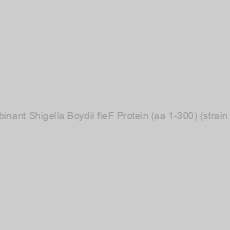 Image of Recombinant Shigella Boydii fieF Protein (aa 1-300) (strain Sb227)